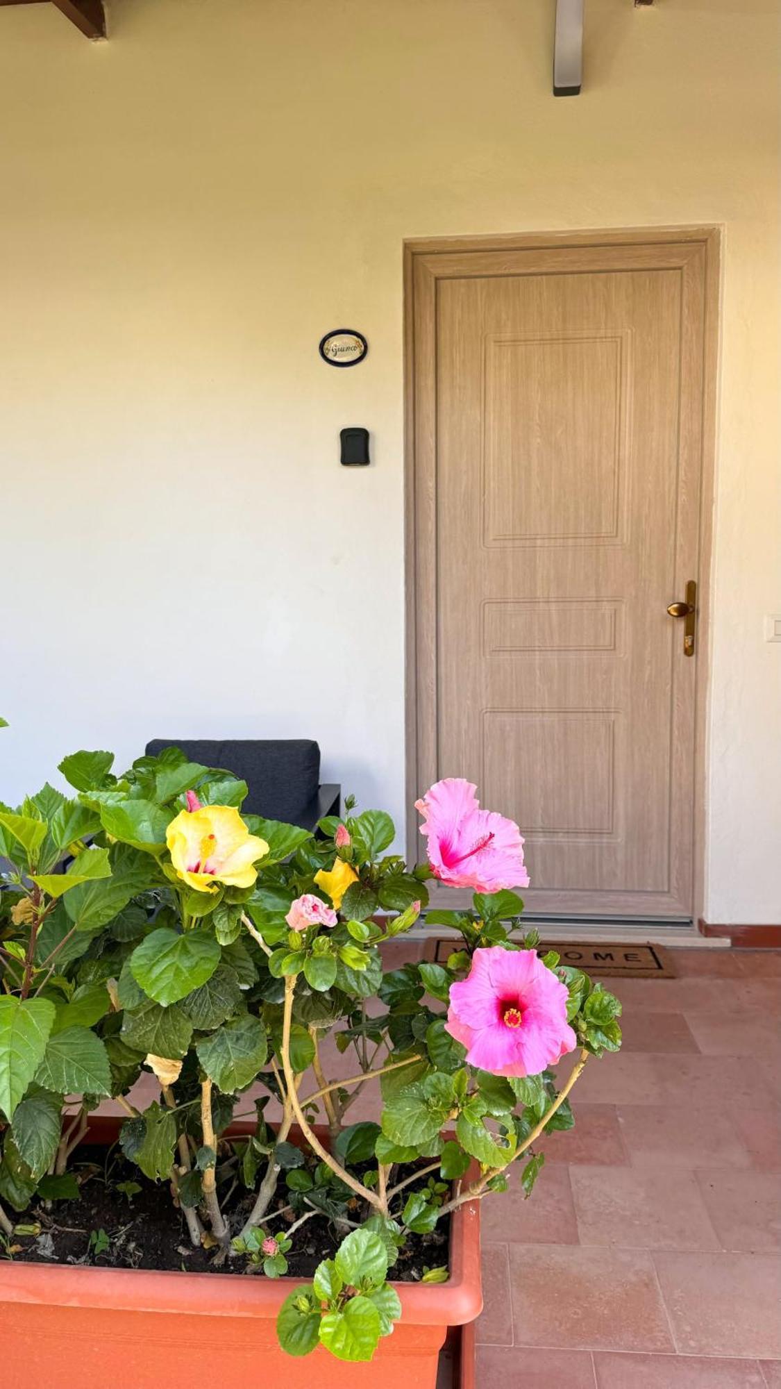 Il Cigno B&B Capri Exterior photo