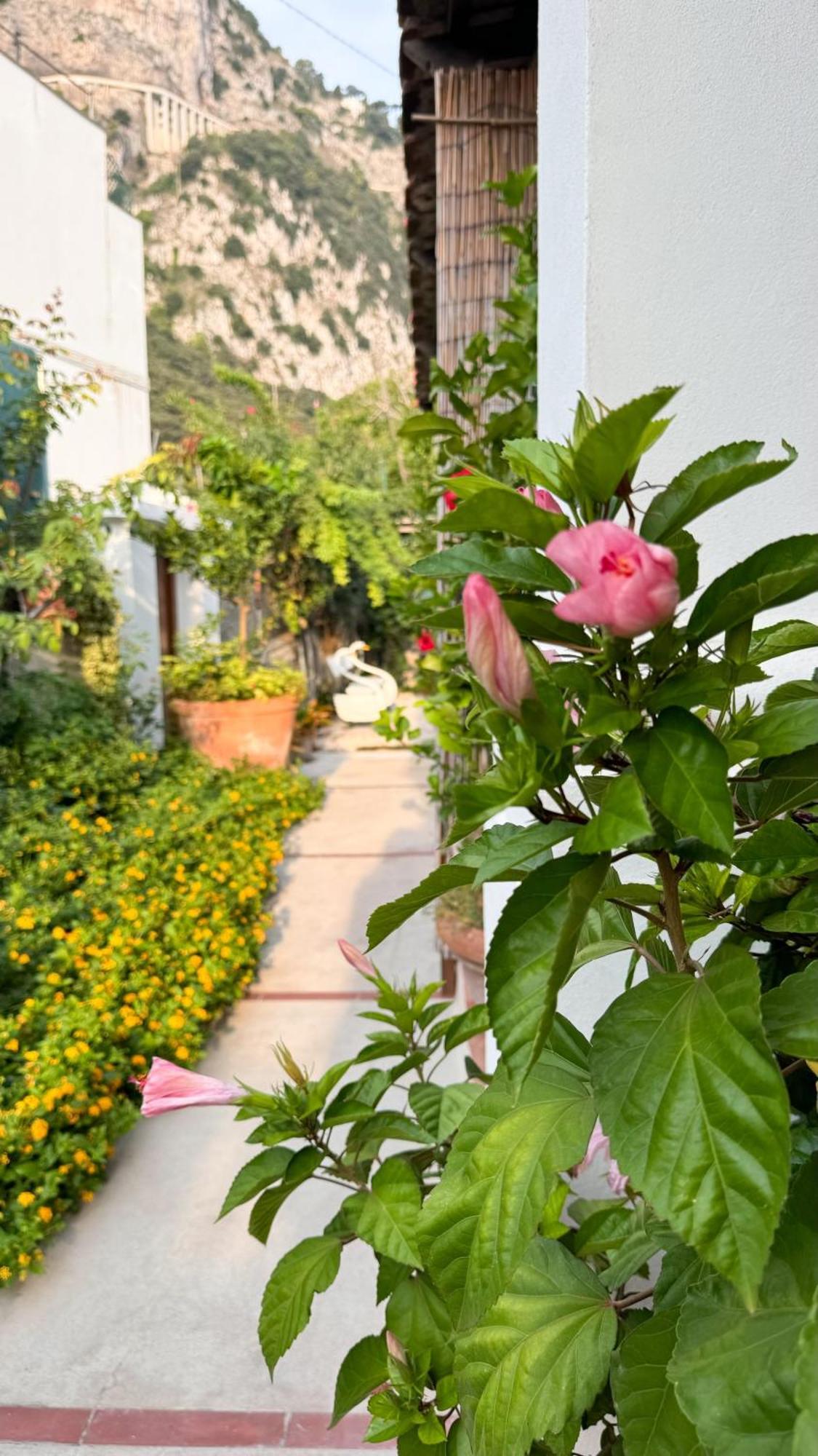 Il Cigno B&B Capri Exterior photo
