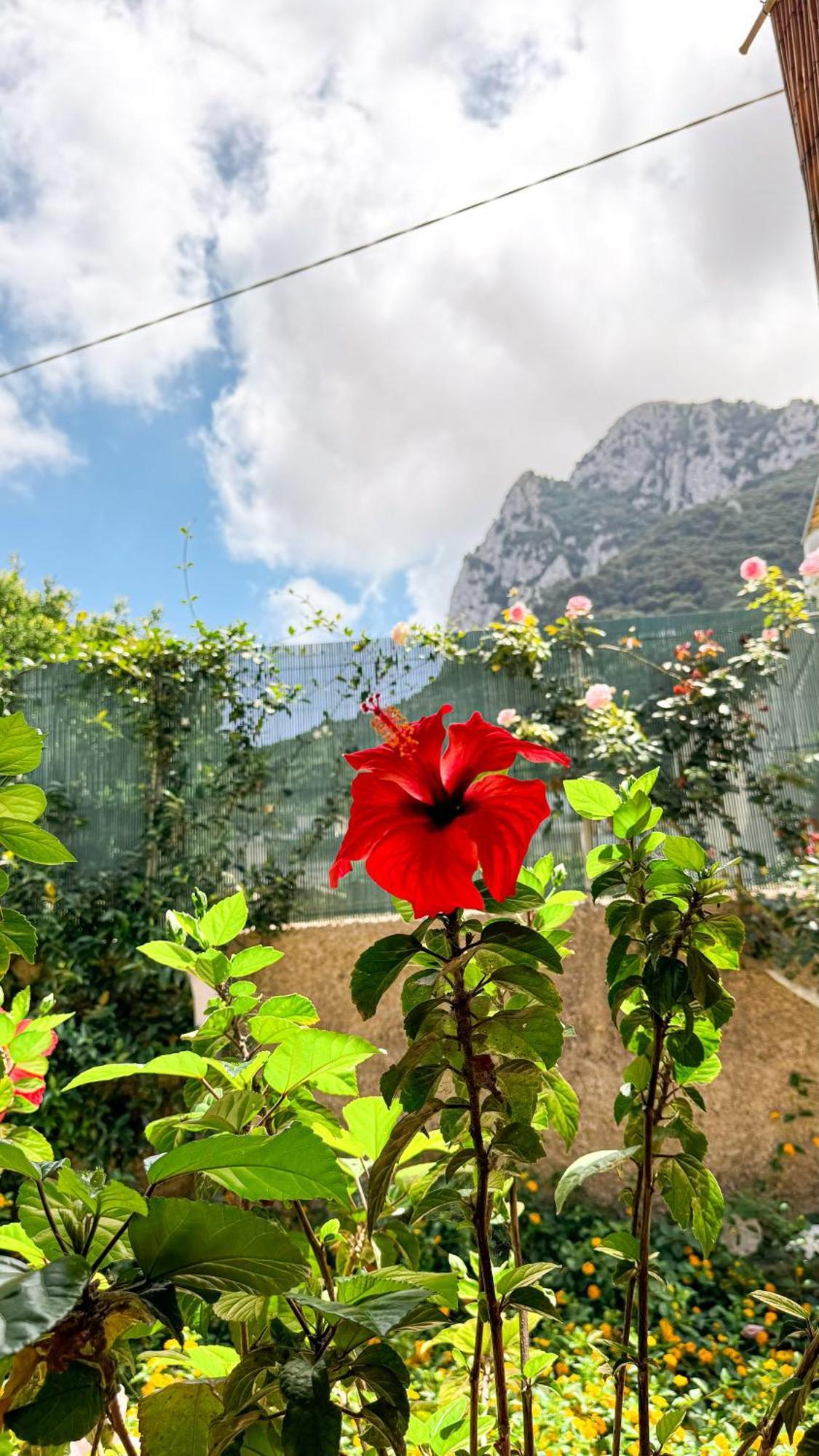 Il Cigno B&B Capri Exterior photo
