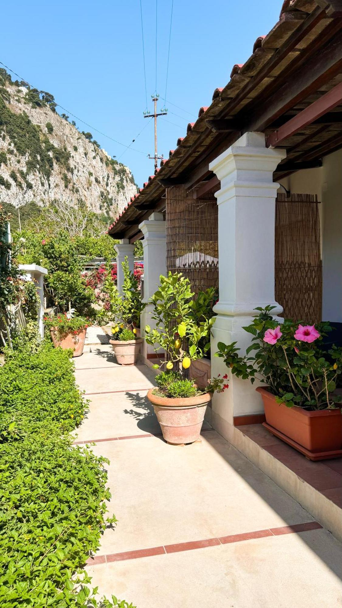 Il Cigno B&B Capri Exterior photo